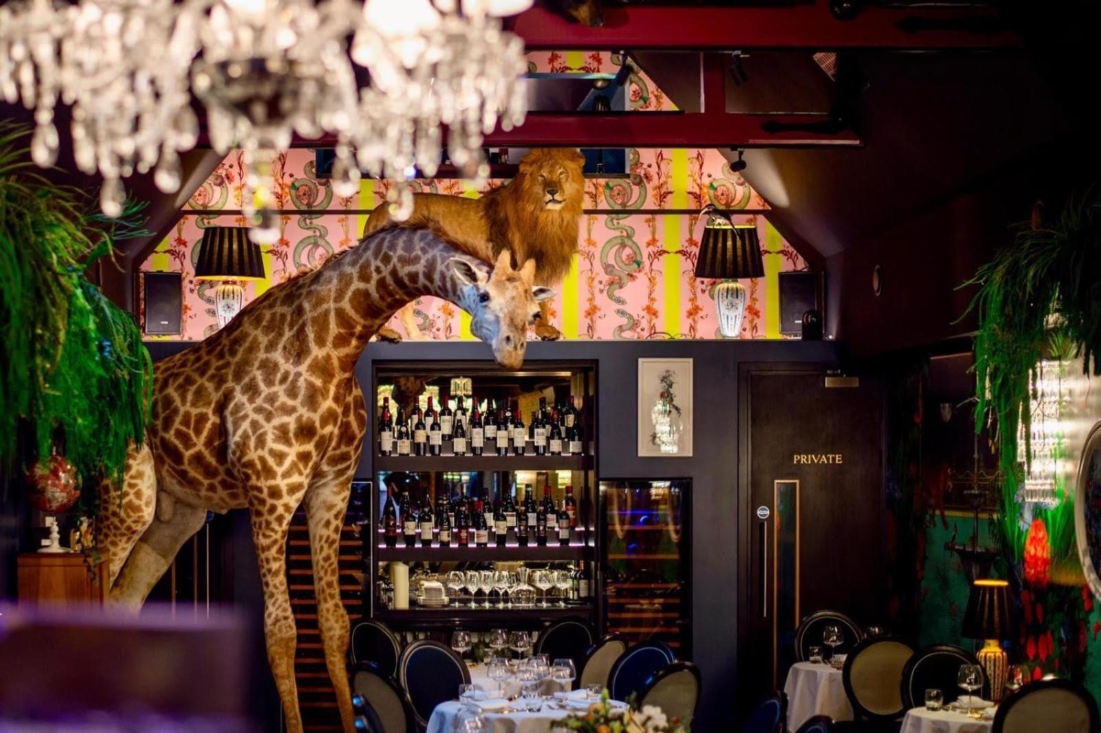 Hux Hotel, Kensington 伦敦 外观 照片